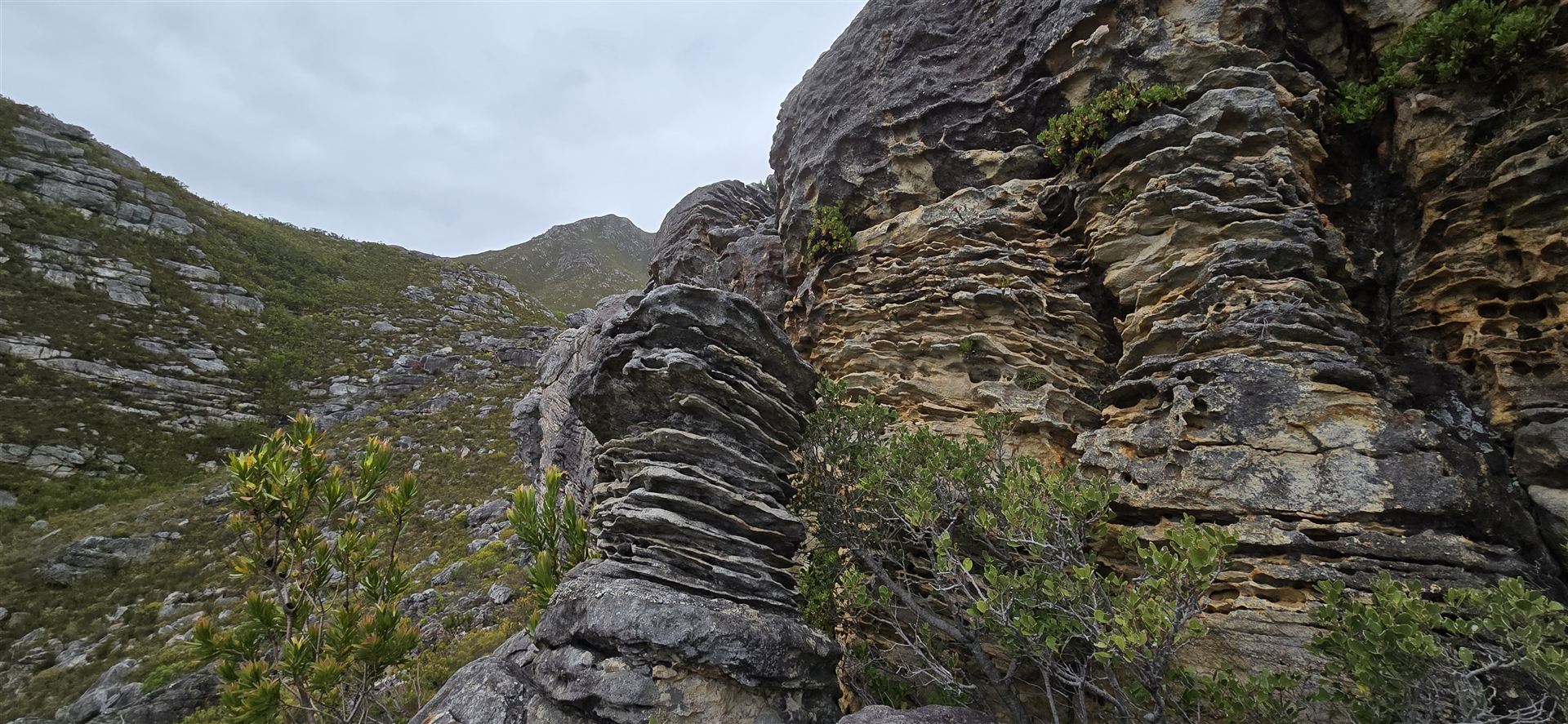 Kleinmond Circular Photo 2
